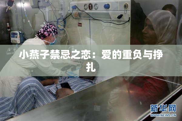 小燕子禁忌之恋：爱的重负与挣扎