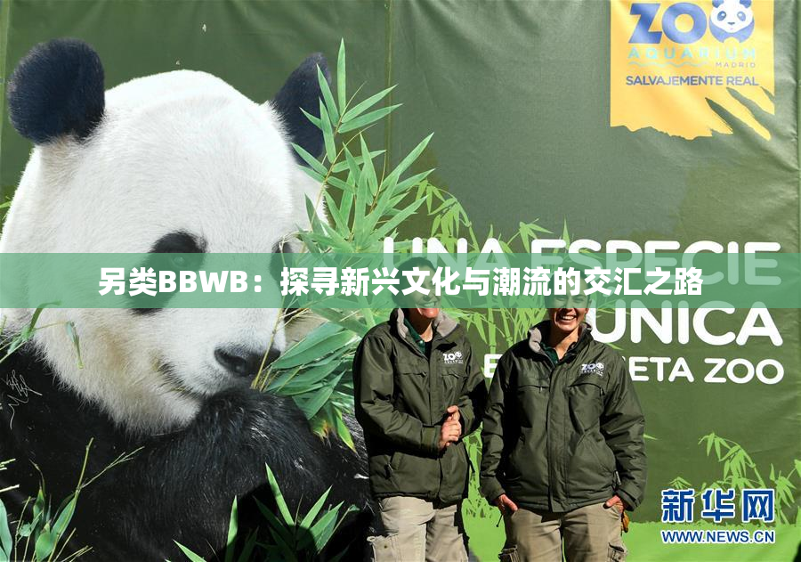 另类BBWB：探寻新兴文化与潮流的交汇之路