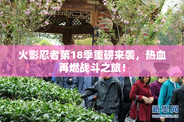 火影忍者第18季重磅来袭，热血再燃战斗之旅！
