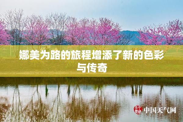 娜美为路的旅程增添了新的色彩与传奇