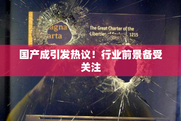 国产成引发热议！行业前景备受关注
