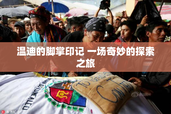 温迪的脚掌印记 一场奇妙的探索之旅