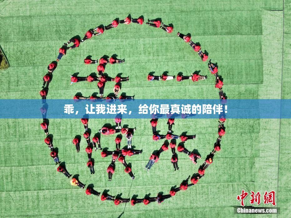 乖，让我进来，给你最真诚的陪伴！