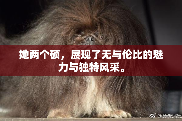 她两个硕，展现了无与伦比的魅力与独特风采。
