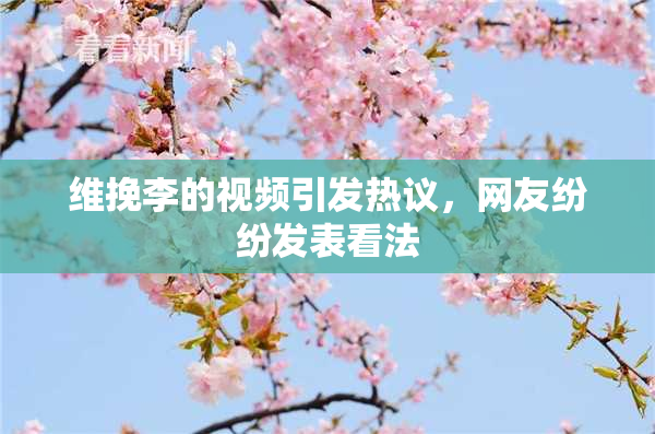 维挽李的视频引发热议，网友纷纷发表看法