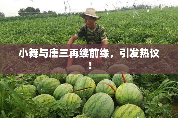 小舞与唐三再续前缘，引发热议！