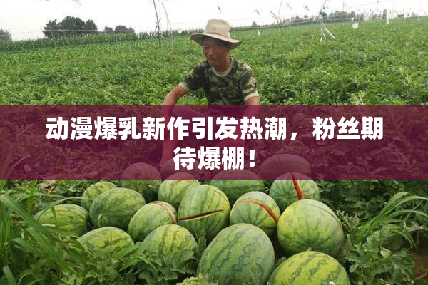 动漫爆乳新作引发热潮，粉丝期待爆棚！