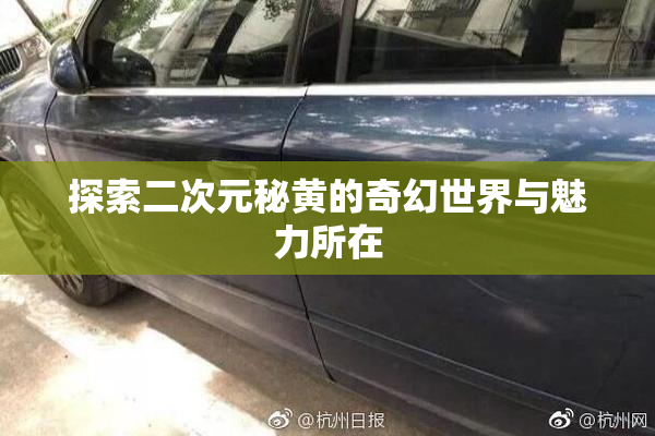 探索二次元秘黄的奇幻世界与魅力所在
