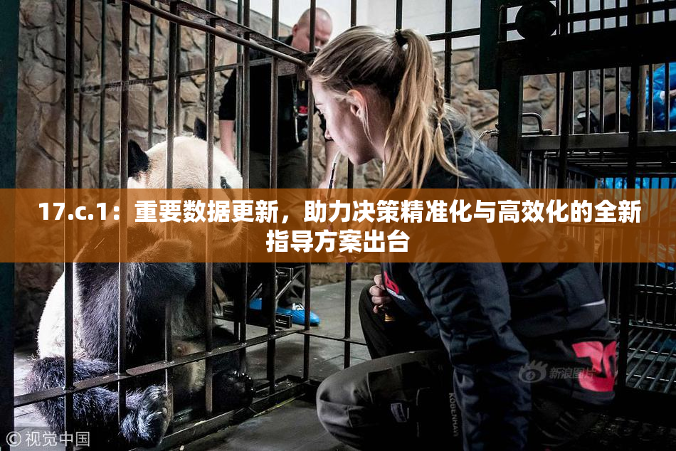 17.c.1：重要数据更新，助力决策精准化与高效化的全新指导方案出台