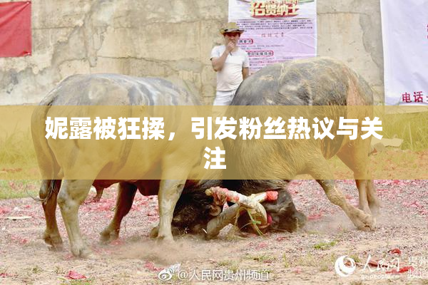 妮露被狂揉，引发粉丝热议与关注