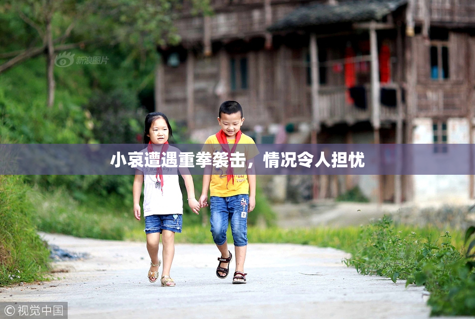 小哀遭遇重拳袭击，情况令人担忧