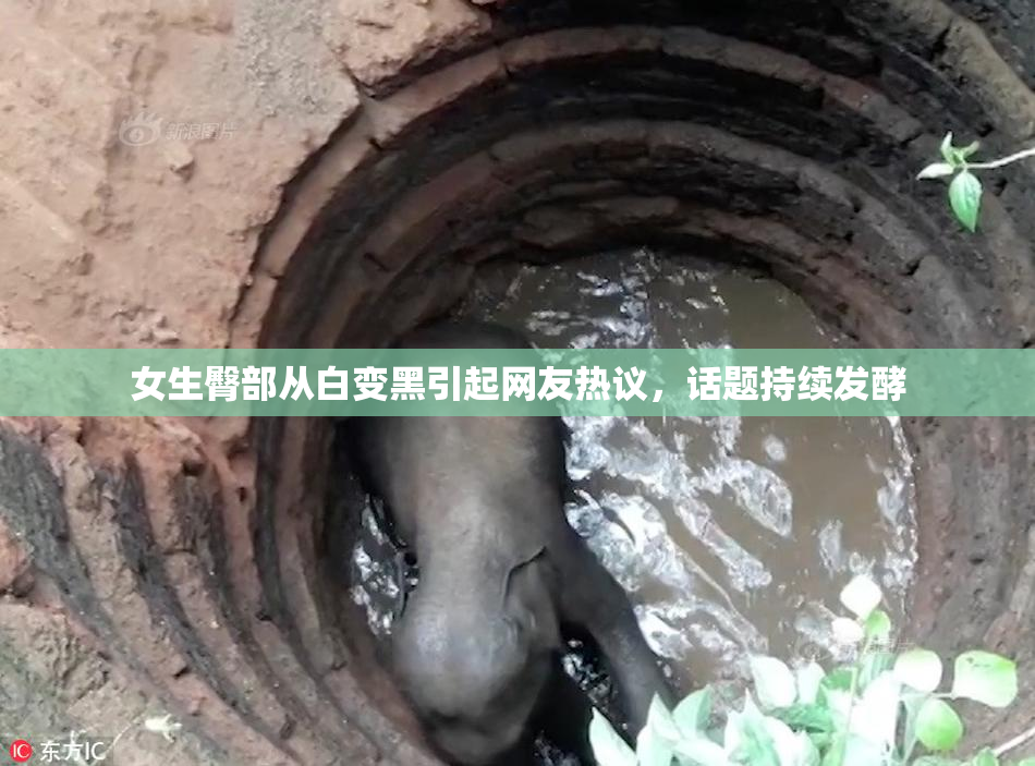 女生臀部从白变黑引起网友热议，话题持续发酵