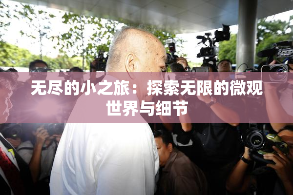 无尽的小之旅：探索无限的微观世界与细节