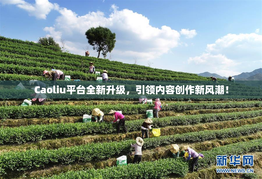 Caoliu平台全新升级，引领内容创作新风潮！