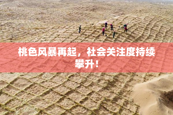 桃色风暴再起，社会关注度持续攀升！