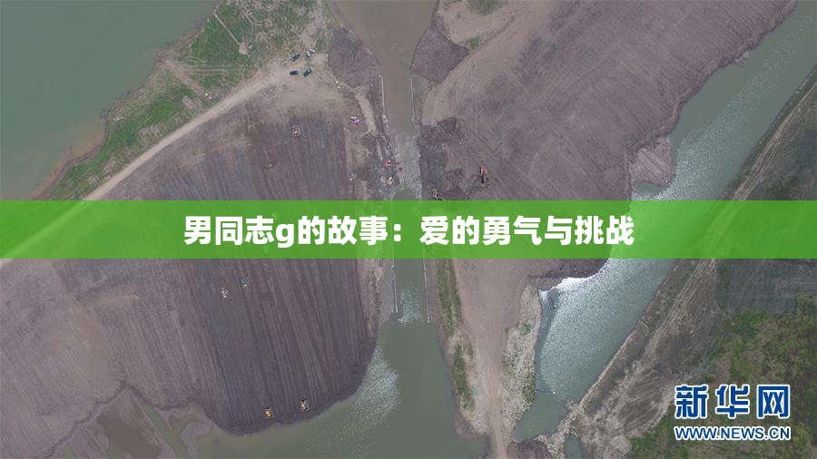 男同志g的故事：爱的勇气与挑战
