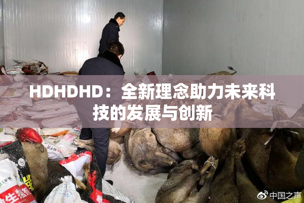 HDHDHD：全新理念助力未来科技的发展与创新
