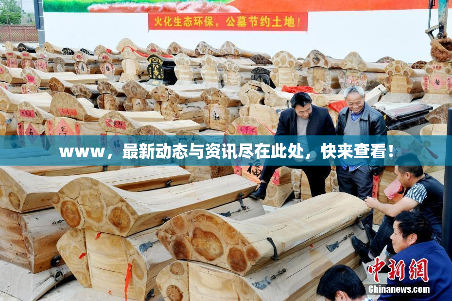 www，最新动态与资讯尽在此处，快来查看！