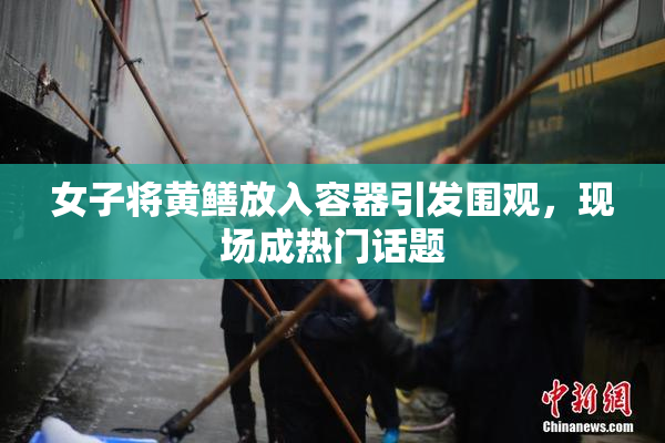 女子将黄鳝放入容器引发围观，现场成热门话题