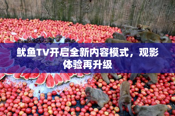 鱿鱼TV开启全新内容模式，观影体验再升级