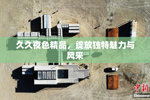 久久夜色精品，绽放独特魅力与风采