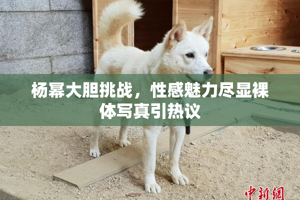 杨幂大胆挑战，性感魅力尽显裸体写真引热议