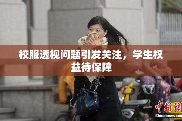 校服透视问题引发关注，学生权益待保障