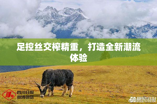 足控丝交榨精重，打造全新潮流体验