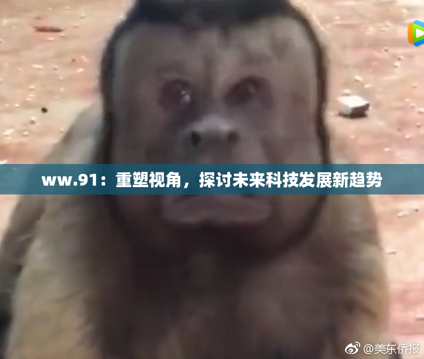 ww.91：重塑视角，探讨未来科技发展新趋势