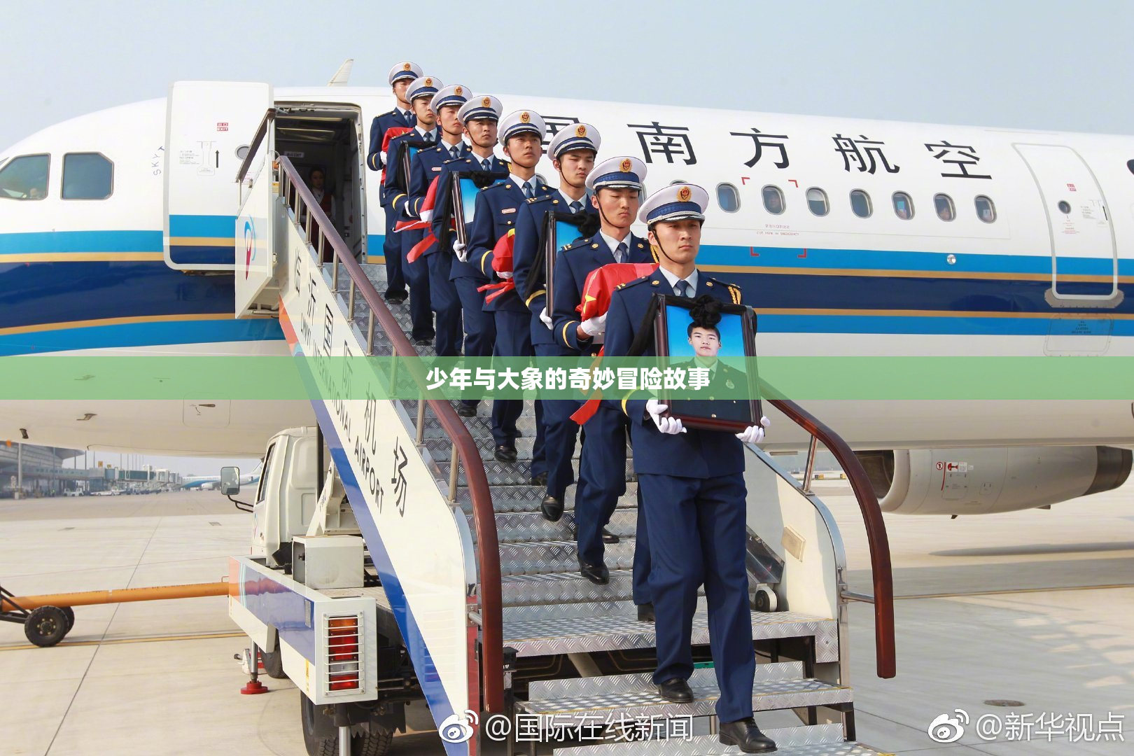 少年与大象的奇妙冒险故事