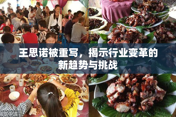 王思诺被重写，揭示行业变革的新趋势与挑战
