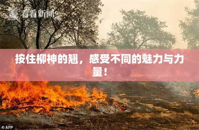 按住柳神的翘，感受不同的魅力与力量！