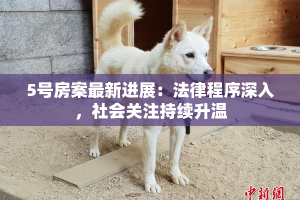 5号房案最新进展：法律程序深入，社会关注持续升温