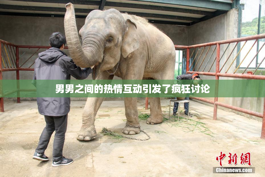 男男之间的热情互动引发了疯狂讨论
