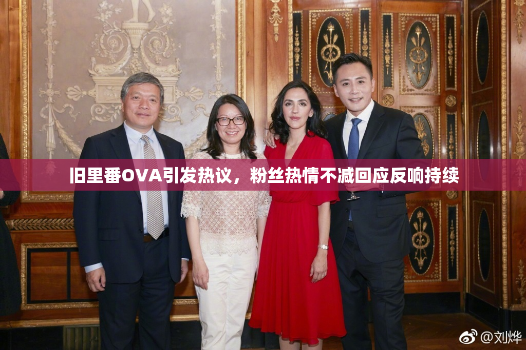 旧里番OVA引发热议，粉丝热情不减回应反响持续