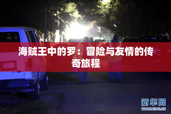 海贼王中的罗：冒险与友情的传奇旅程