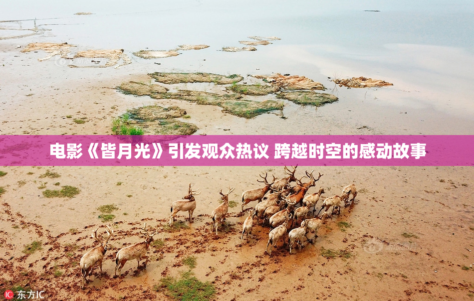 电影《皆月光》引发观众热议 跨越时空的感动故事