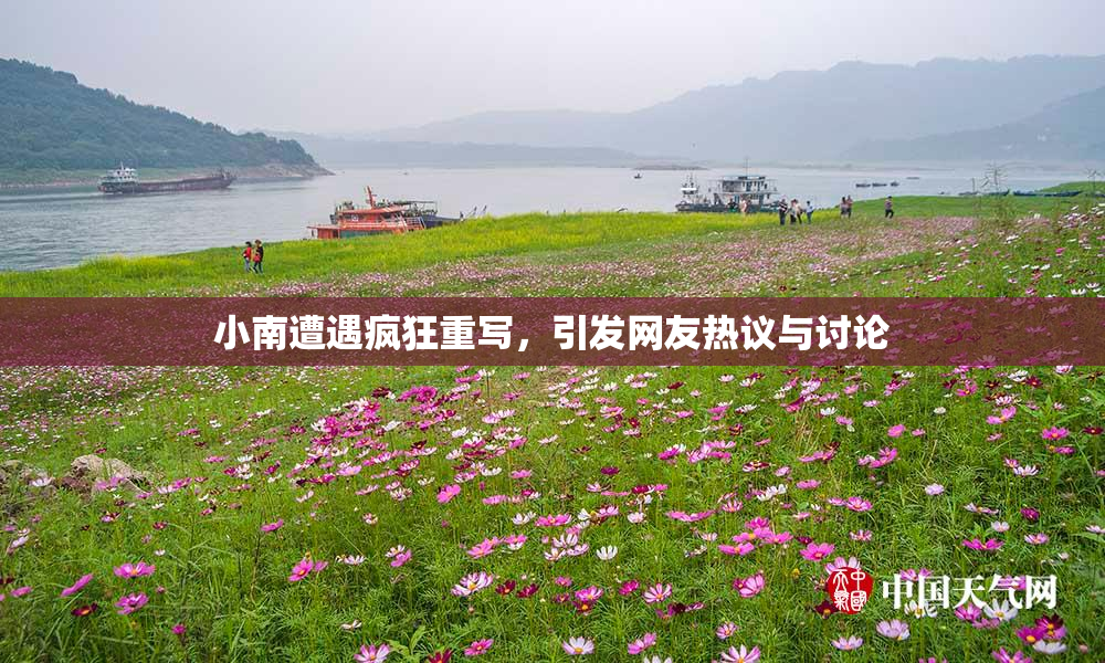 小南遭遇疯狂重写，引发网友热议与讨论