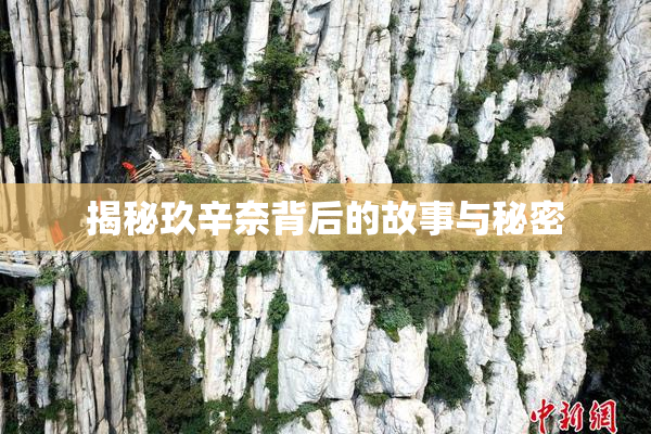 揭秘玖辛奈背后的故事与秘密
