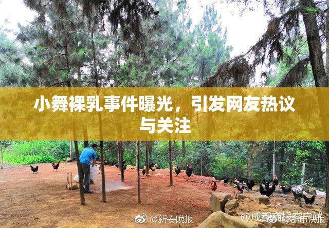 小舞裸乳事件曝光，引发网友热议与关注