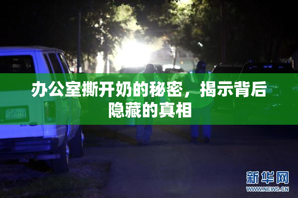 办公室撕开奶的秘密，揭示背后隐藏的真相