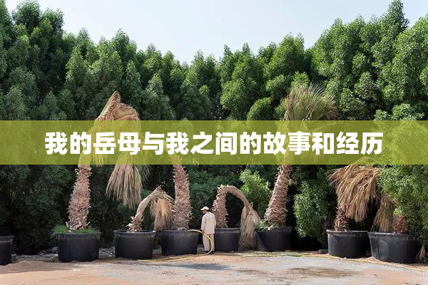 我的岳母与我之间的故事和经历