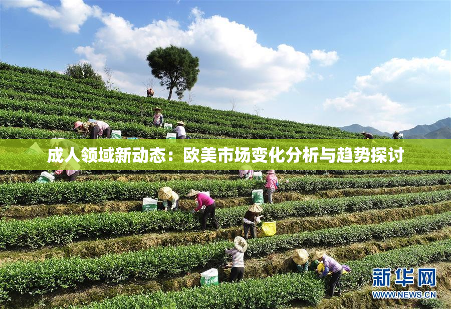 成人领域新动态：欧美市场变化分析与趋势探讨