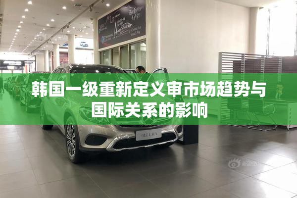 韩国一级重新定义审市场趋势与国际关系的影响