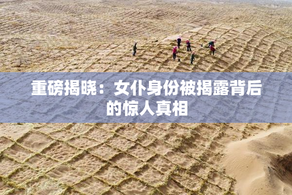 重磅揭晓：女仆身份被揭露背后的惊人真相