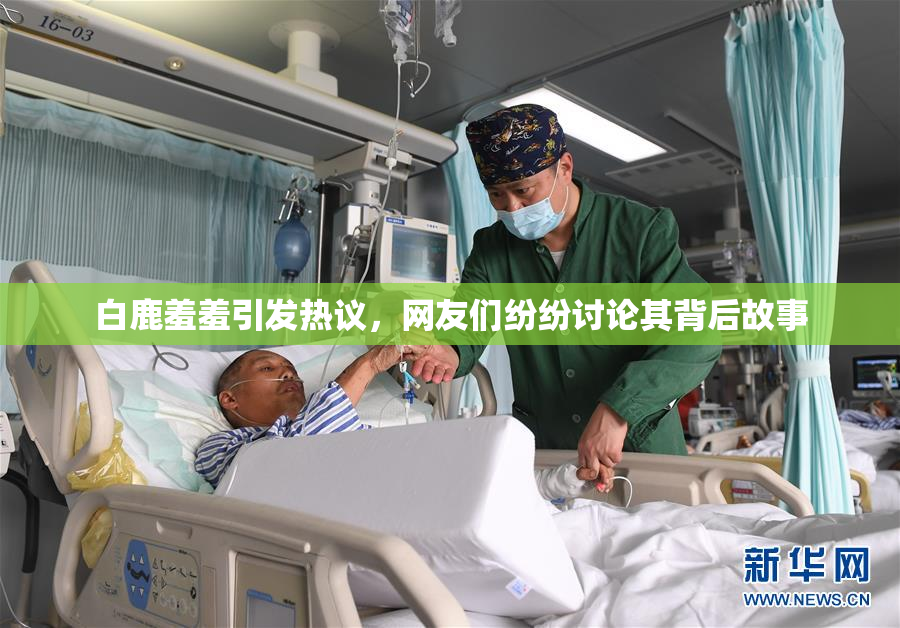 白鹿羞羞引发热议，网友们纷纷讨论其背后故事