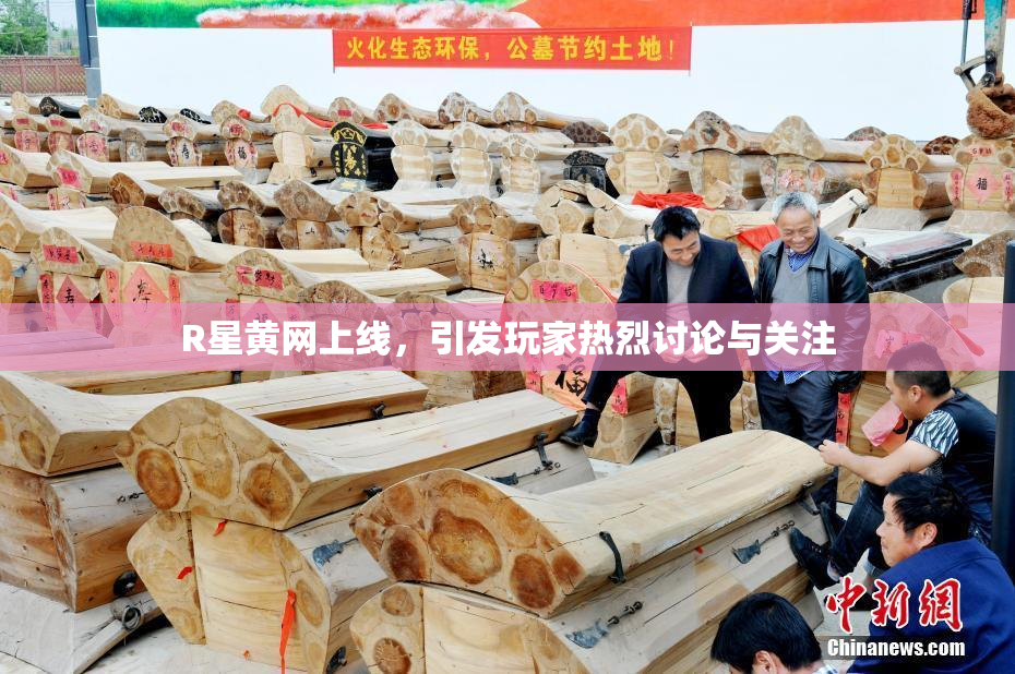 R星黄网上线，引发玩家热烈讨论与关注