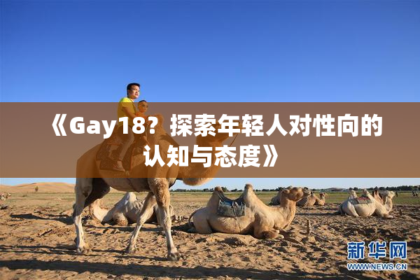 《Gay18？探索年轻人对性向的认知与态度》