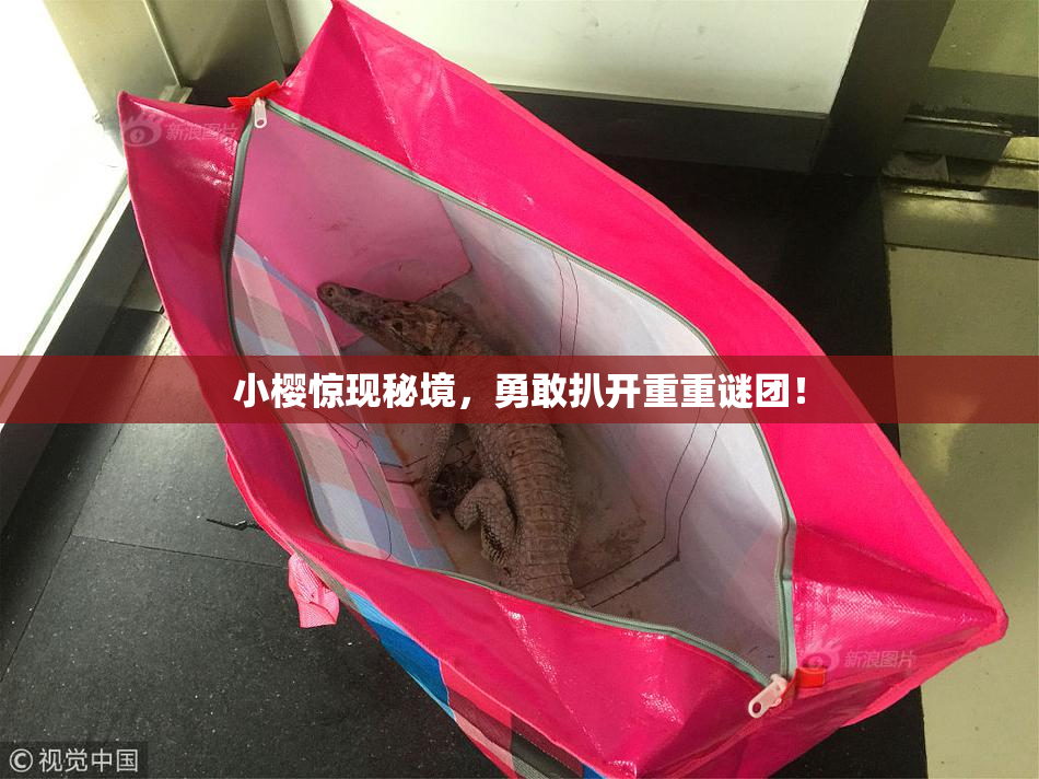 小樱惊现秘境，勇敢扒开重重谜团！