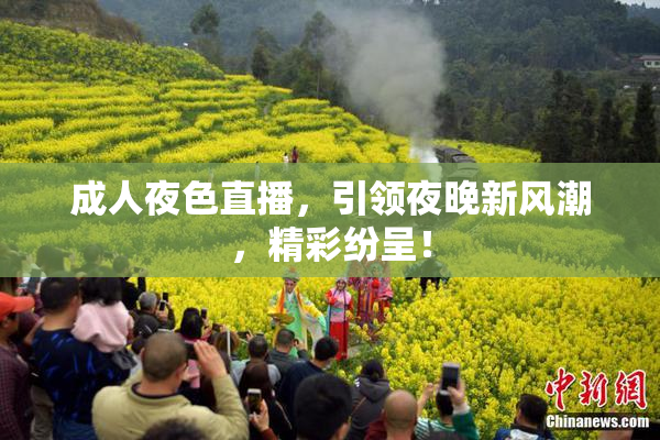 成人夜色直播，引领夜晚新风潮，精彩纷呈！